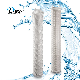 Darlly Absolute High Flow Polypropylene Filter Cartridge Water Purifier for Microelectronics Filtration