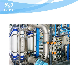 UF Membrane 100tph Ultrafiltration Water RO Treatment System Reverse Osmosis manufacturer