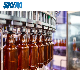 Skym 3-In1 Automatic Glass Bottle Wine Alcoholic Beer Production Line Filling Making Bottling Machine