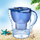 Standard Everyday Filter Pitcher Water Purifier with 1 Standard Filter manufacturer