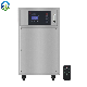  Flygoo Industrial Ozone Generator for Air Water Sterilization and Disinfection