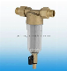  Brass Strainer Filter Valve Transperent Type with Sst Mesh Filter Water Pre Filter/Pre-Filter for Water Treatment