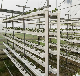  High Quality Vertical Farm Hidroponia PVC Aeroponic Nft Nft Hydroponic System