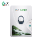 Household 400mg Ozone Water Purifier Ozone Generator manufacturer