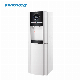 Newly Designed Vertical Hot and Cold Water Purifier (XXKL-SLR-54)