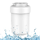  Quick Disassembly NSF 42 Certified Refrigerator Water Filter Purifier for Bss25jfrjww/Dss25kgrebb