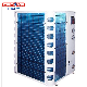  Dubai Market Commercial Swimming Pool Heat Pump with High Cop