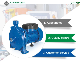 Factory Supply Directly Cpm Series Centrifugal Electric Water Pump