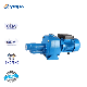  China Pumping Machine Manufacturer Twin-Impeller Self-Priming Ground Deep Well Centrifugal Pump