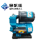 Cold and Hot Water Automatic Self-Priming Booster Water Pump Peripheral Pump