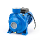 Wholesale Centrifugal Irrigation Water Pumps 1.5HP High Pressure Electric