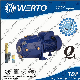  Wholesale Tdp370 Price Deep Well Self-Priming Jet Pump