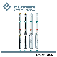 Edwin Pump 4sdm China Wholesale Borehole Pump with Control Box and 100% Copper Wire