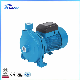  Factory Wholesale Cpm 158 1HP Centrifugal Pump Small Surface Water Pump