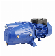  Jet Series Self-Priming Pump Electric Water Pumps (JET60A/80A/100A)