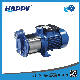 Multi-Stage Cast Iron Horizontal Split Case Centrifugal Pump (HMC-S-3) manufacturer