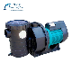 Circulation Filter Pool Water Pump Swimming Pool Centrifugal Pump Hot Selling