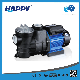 0.75 3 HP Pressure Electric Submersible Centrifugal Swimming Pool Water Pump (HFC) manufacturer