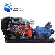 China Supplier Centrifugal Water Pump Diesel Engine Pumps