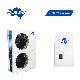  DC Inverter Heat Pump for House Heating Cooling 8HP