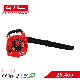 Garden Leaf Blower 25.4cc Handheld Gasoline Mini Blower (EB260LD)