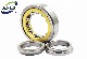 Qjf1056 Qjf1060 Qjf1064 Qjf1068 N2 M Ma Four-Point Angular Contact Ball Bearing