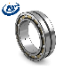  Bearing Steel 1204 Self Aligning Ball Bearing for SKF/NSK/Koyo/Timken