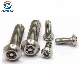 Stainless Steel Machine Screw High Security /Anti-Theft Screw manufacturer