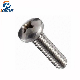  Stainless Steel A2 A4 Ss304 Ss316 Oval Head Machine Screw
