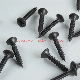 High Quality Good Price Hex Head or Double Countersunk Head Drywall Screw