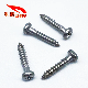 3*15 304 Stainless Steel Phillips/Crosss Pan/Round Head Self Tapping Screw Screw