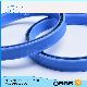 PTFE Spring Energized Seal for Food, Beverage, Medical, Pump, Hydraulic