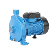  Shen Tai Cpm158 0.75kw 1HP Factory High Flow Centrifugal Irrigation Surface Garden Electrical Jet Peripheral Water Pump
