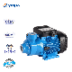  1HP New Design Single Phase 100%Copper Wire Booster Peripheral Water Pump for House Use