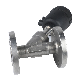  1 Inch DN25 Steam Cylinder Y-Type High Quality Flanged Angle Seat Valve