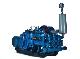 Bw-250 Mud Pump Horizontal Three-Cylinder Reciprocating Single-Acting Piston Pump Slurry Pump