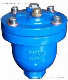 Cast Iron Single Air Release Valve / Single Air Vent Valve Thread End Pn16 ANSI / JIS/DIN