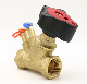 High Quality Guarantee Static Manual Brass Balance Valves with CE Certificate DN15