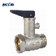 Bmag Safety Relief Valve for Water Heater