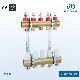  Brass Manifold with Flow Meters