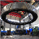 Girth Gear for Ball Mill Crusher and Rotary Kiln Production