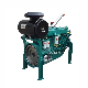  Hot Sale New Condition Water Cooled 4 Stroke Power Generator Use Diesel Engine From China