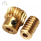 Customized Precision Gear Shaft Processing Worm Gear for Auto Motors manufacturer