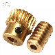 Customized Precision Gear Shaft Processing Worm Gear for Auto Motors