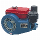 Small 4-Stroke Single Cylinder Air Cooled Diesel Engine with SGS