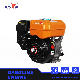 Bison 6.5HP Gx200 Professional Gasoline Engine 168f Petrol Portable Engine