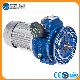  Variable Speed Gear with 0.75kw Motor Power