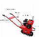 Chain track tiller 180 water-cooled diesel(8HP) 178 air-cooled diesel(8HP) 176 water-cooled diesel(7HP) 173 air-cooled diesel(7HP) 170 air-cooled gasoline(7H