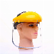 Wholesale Transparent Visor Protective Face Shield Different Color Helmets