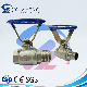 CE M/F Thread 2PC Ball Valve with Oval Handle Industrial Stainless Steel